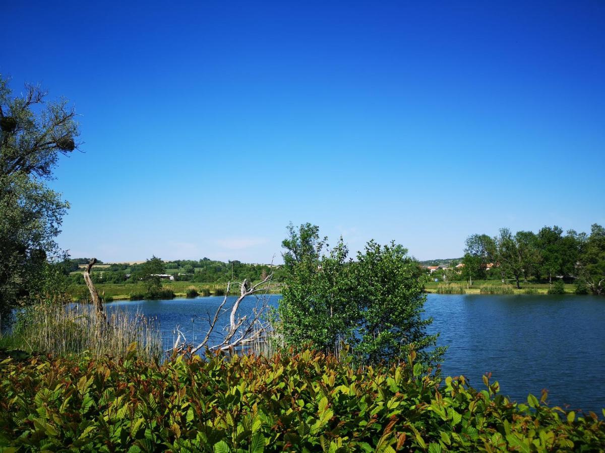 Gite A La Campagne - Etat Nature Magnieres Exterior photo